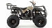 Квадроцикл MOTOLAND (МОТОЛЕНД) 200 ALL ROAD в Шахтах