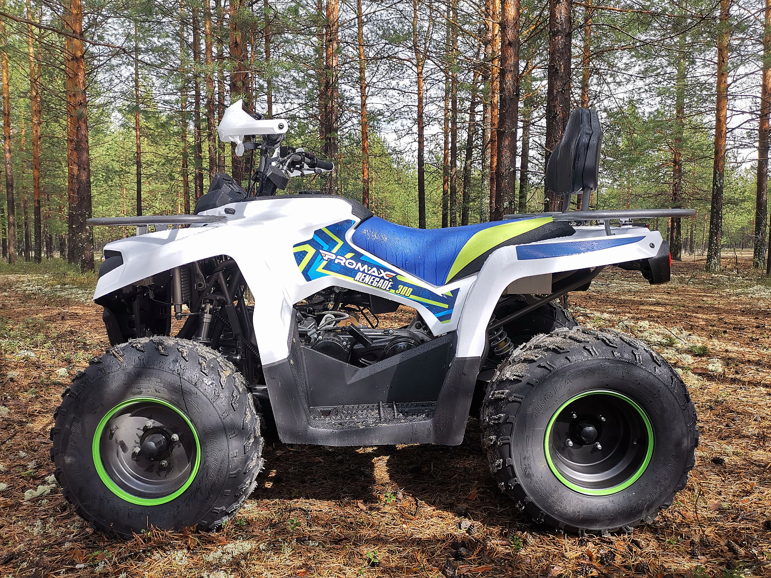 Квадроцикл PROMAX RENEGADE 280 (2025) в Шахтах