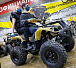 Квадроцикл PROMAX ATV 250 (2025) в Шахтах