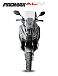 МаксиСкутер PROMAX-HONDA ADV 150 (49) (Inspired by HONDA) в Шахтах