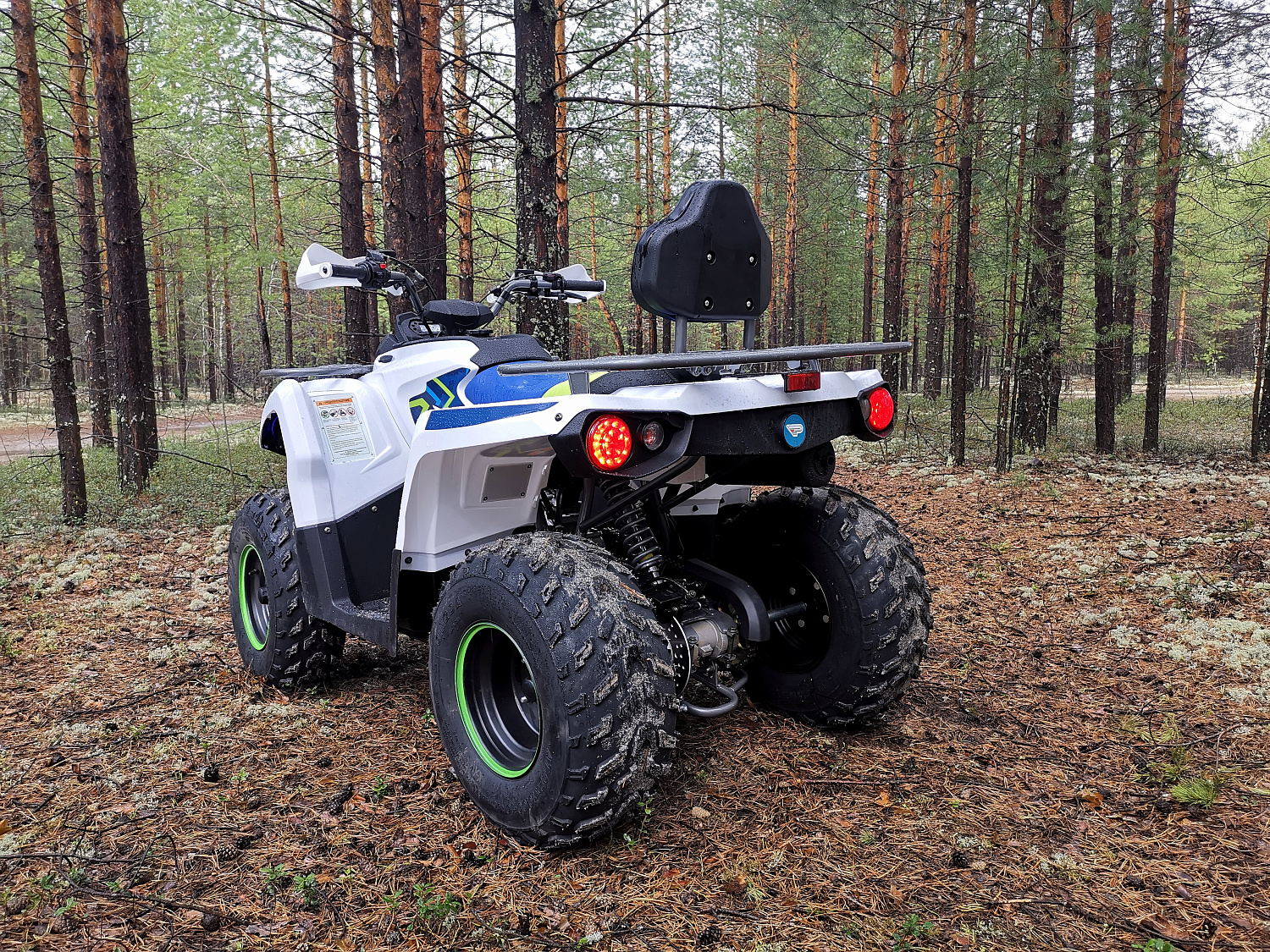 Квадроцикл PROMAX RENEGADE 280 (2025) в Шахтах