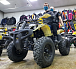 Квадроцикл PROMAX ATV 250 (2025) в Шахтах