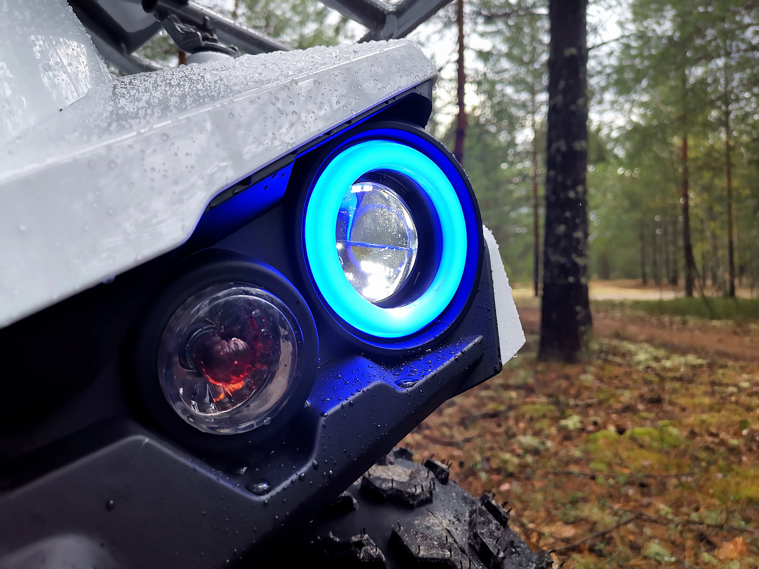 Квадроцикл PROMAX RENEGADE 280 (2025) в Шахтах