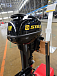 Лодочный мотор STELS 9.9HP в Шахтах