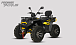 Квадроцикл PROMAX TAURUS 300 MAX-PRO LONG в Шахтах